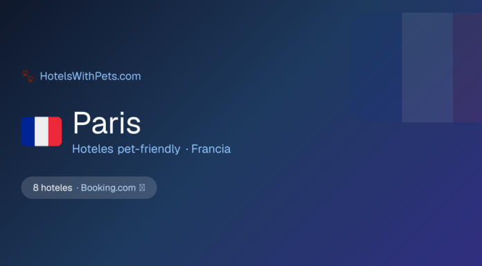 Viajar a París con tu perro: los mejores hoteles donde tu compañero peludo es bienvenido