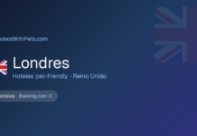 Llevá a tu perro a Londres: los mejores hoteles donde tu compañero peludo es bienvenido