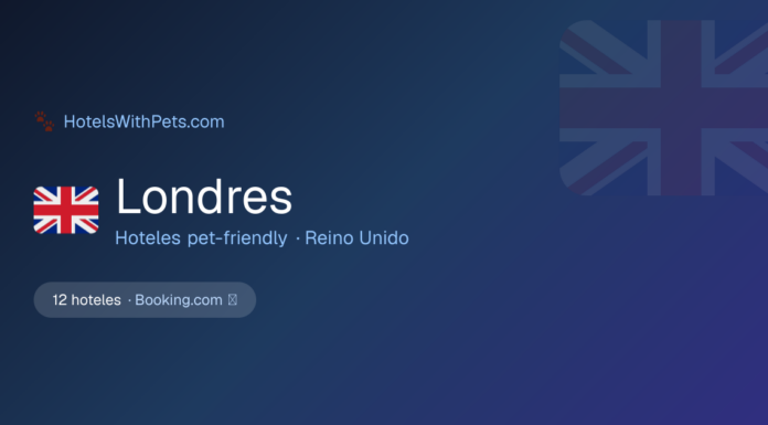 Llevá a tu perro a Londres: los mejores hoteles donde tu compañero peludo es bienvenido