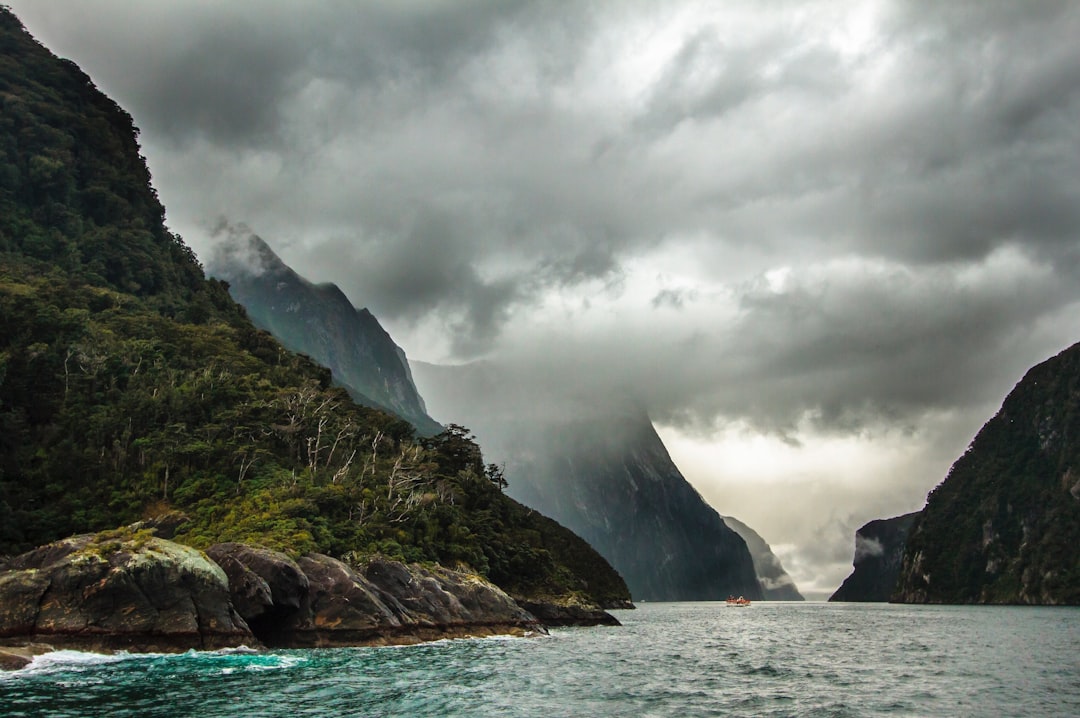 Doubtful Sound en kayak: el fiordo que New Zealand guarda celosamente para los aventureros