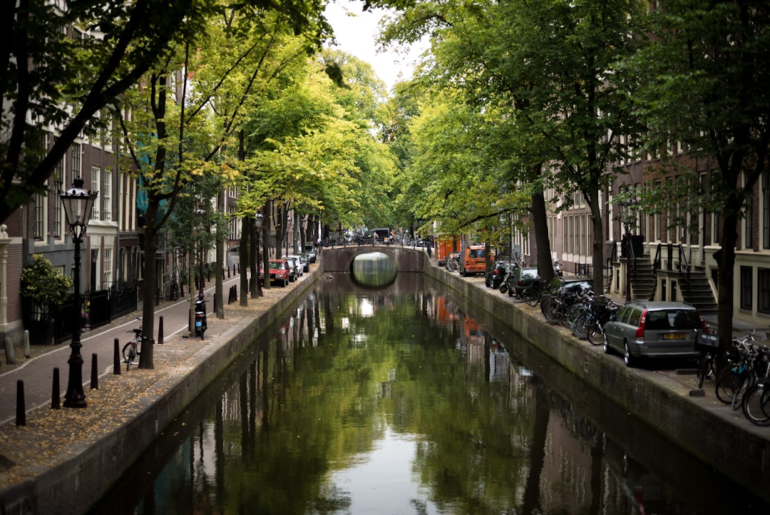 Pedaleá como un local: la guía que necesitás para no morir en el intento en Ámsterdam