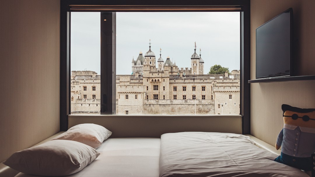 Llevá a tu perro a Londres: los mejores hoteles donde tu compañero peludo es bienvenido