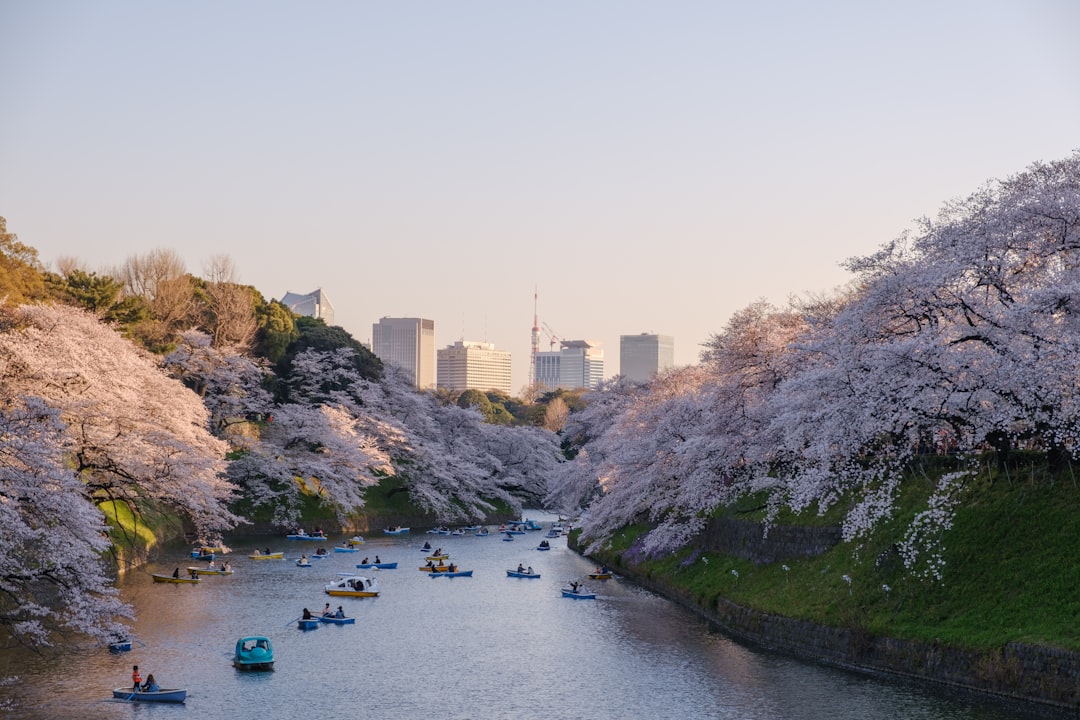 Tokio te va a cambiar la vida: la guía definitiva para tu primer viaje a Japón