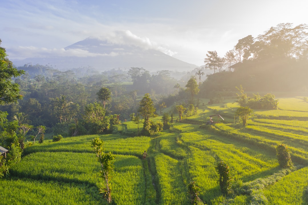 Ubud es el corazón de Bali que no sabías que necesitabas descubrir