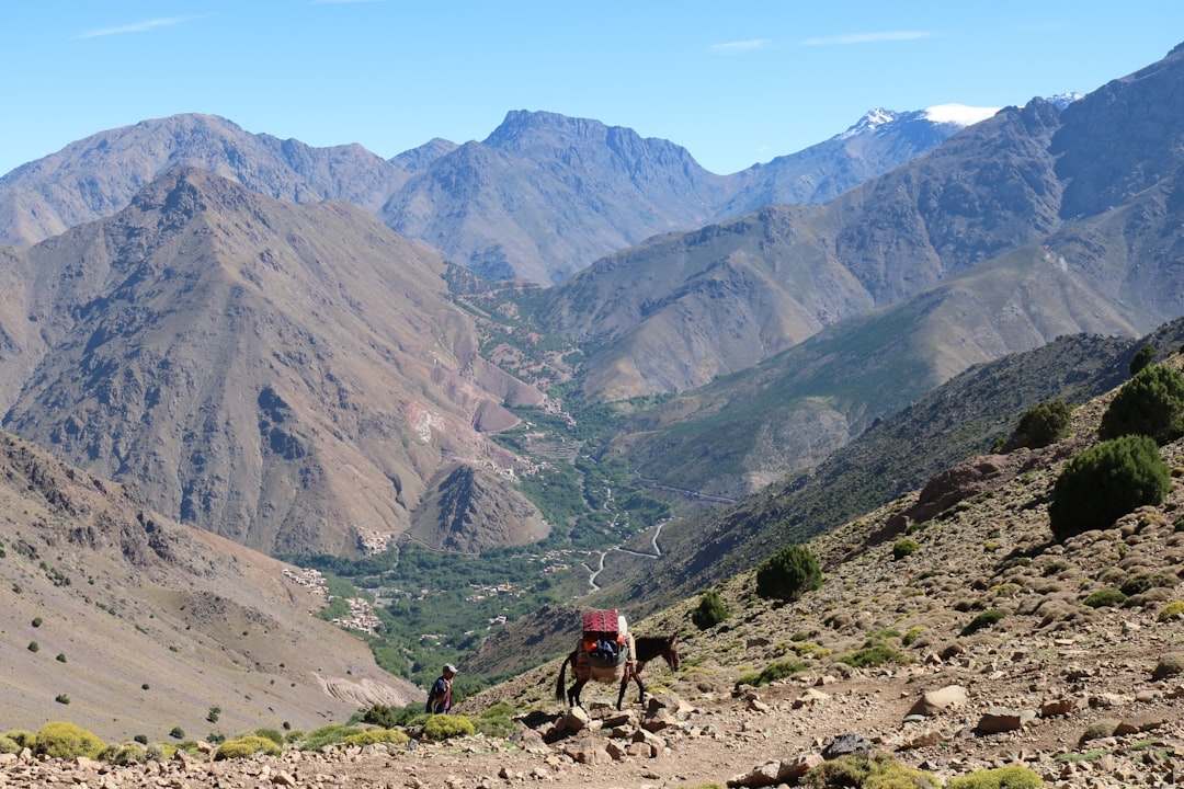 Pedaleá entre viñedos: por qué el ciclismo en Mendoza es la experiencia que te falta