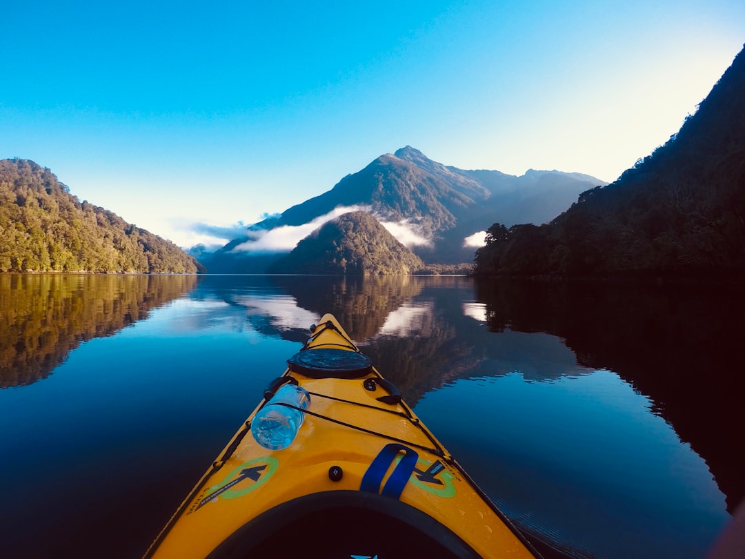 Doubtful Sound en kayak: el fiordo que New Zealand guarda celosamente para los aventureros