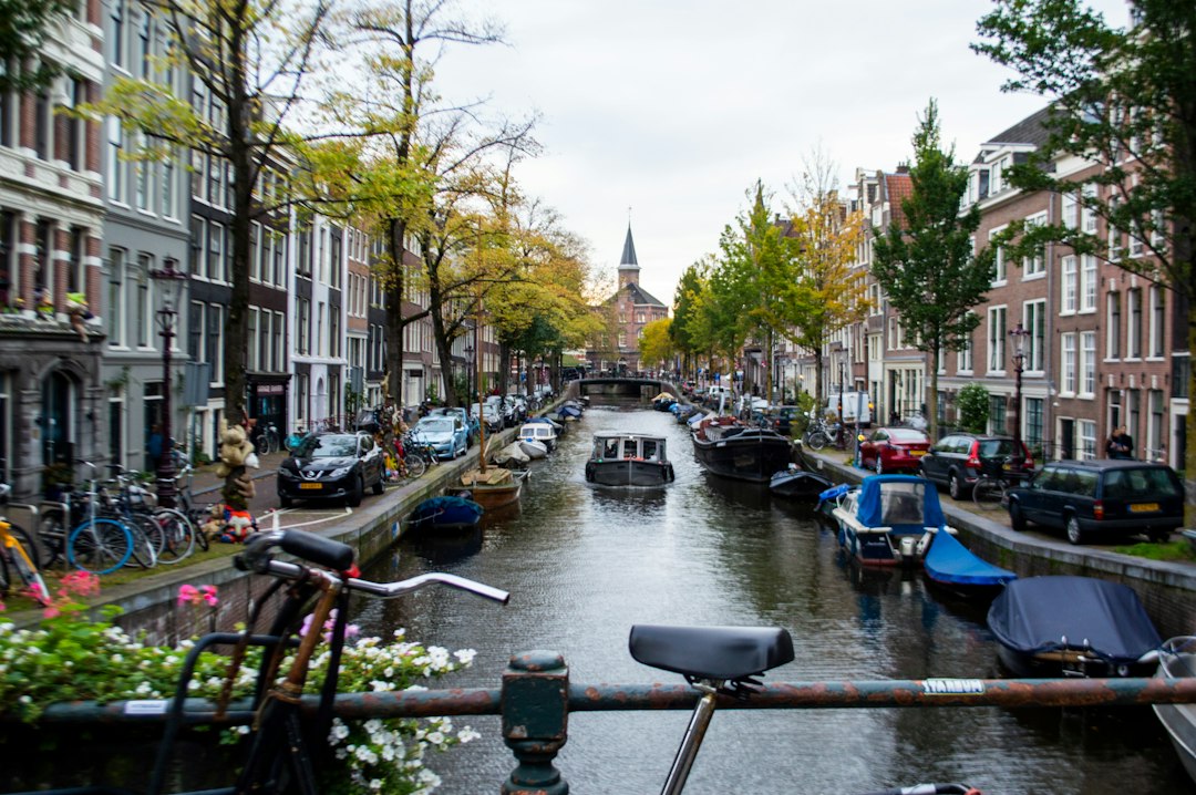 Amsterdam con tu perro: los mejores lugares donde comer sin dejar a tu compañero peludo afuera