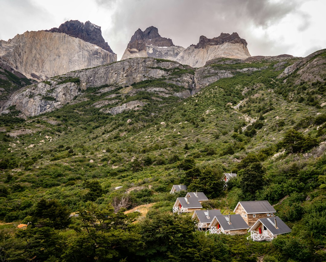 Cabañas Las Tunas en Salta: el refugio perfecto para viajar con tu perro a la montaña
