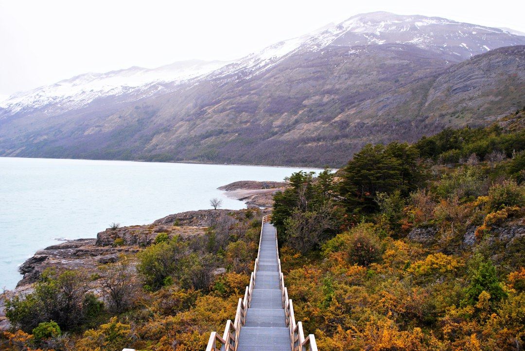 El cordero patagónico de El Calafate: cómo comerlo como los pioneros de la Patagonia