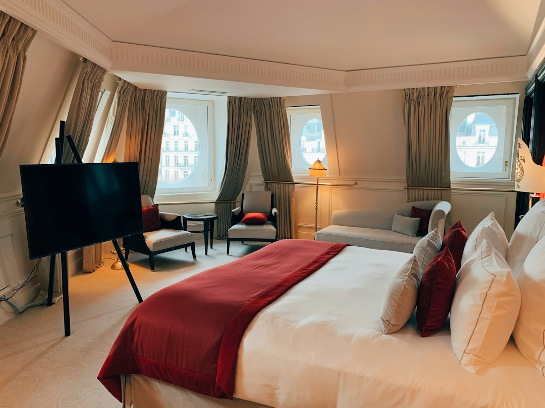 Viajar a París con tu perro: los mejores hoteles donde tu compañero peludo es bienvenido
