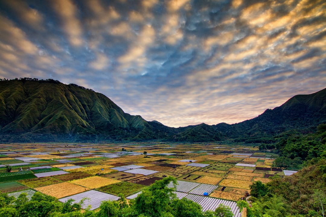 Ubud es el corazón de Bali que no sabías que necesitabas descubrir