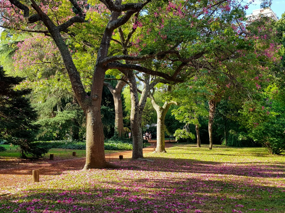 El Parque Las Heras: el paraíso porteño donde tu perro es la estrella