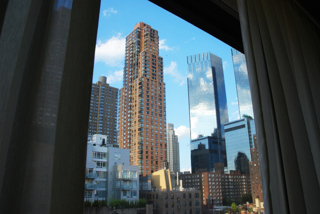 Nueva York con tu perro: los mejores hoteles pet friendly para disfrutar la Gran Manzana juntos