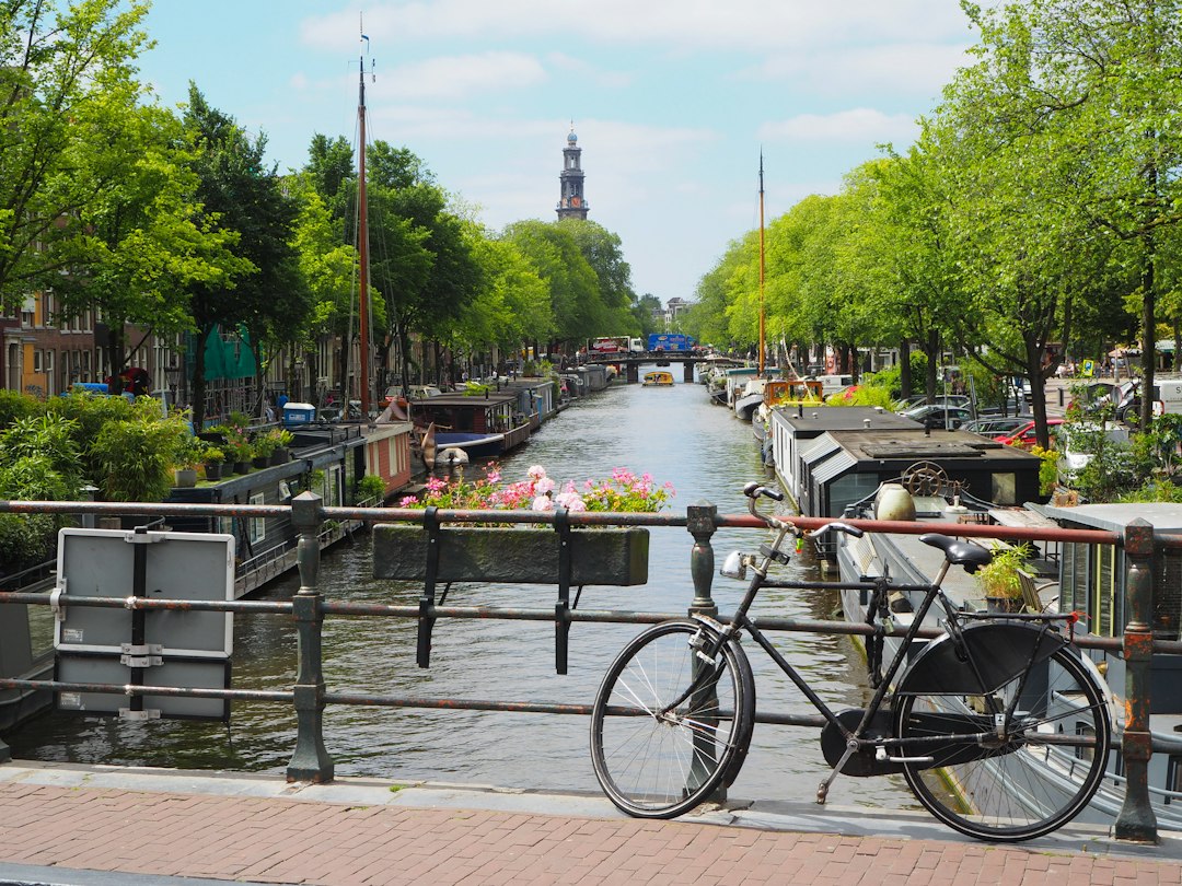 Amsterdam con tu perro: los mejores lugares donde comer sin dejar a tu compañero peludo afuera