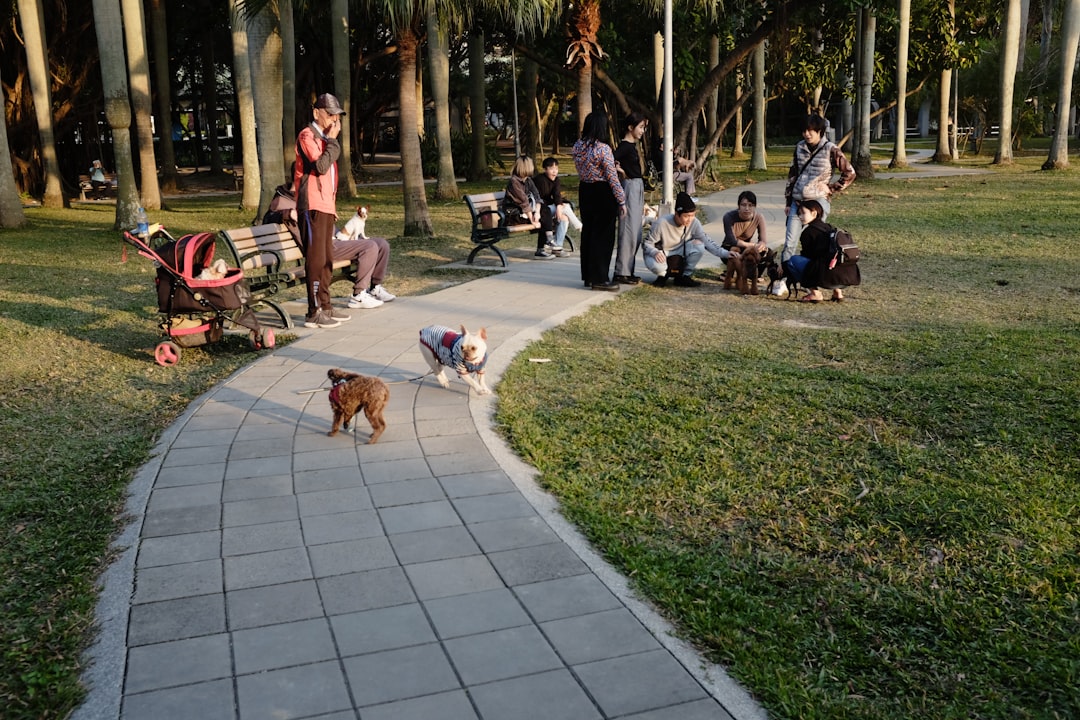 Parque Las Heras: el paraíso verde donde tu perro es el verdadero protagonista en Buenos Aires