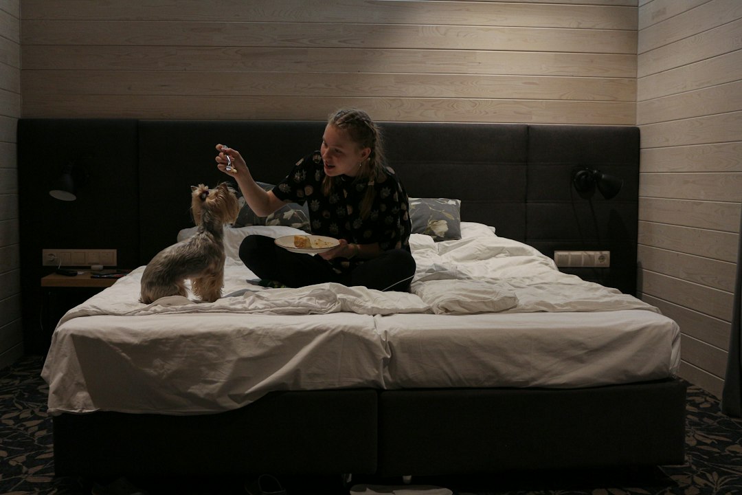 Viajar a París con tu perro: los mejores hoteles donde tu compañero peludo es bienvenido