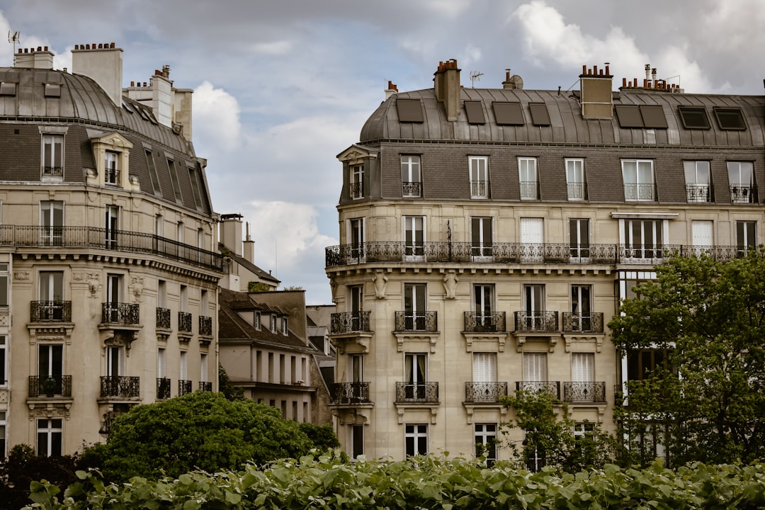 París con tu perro: los hoteles donde tu compañero peludo es tan bienvenido como vos