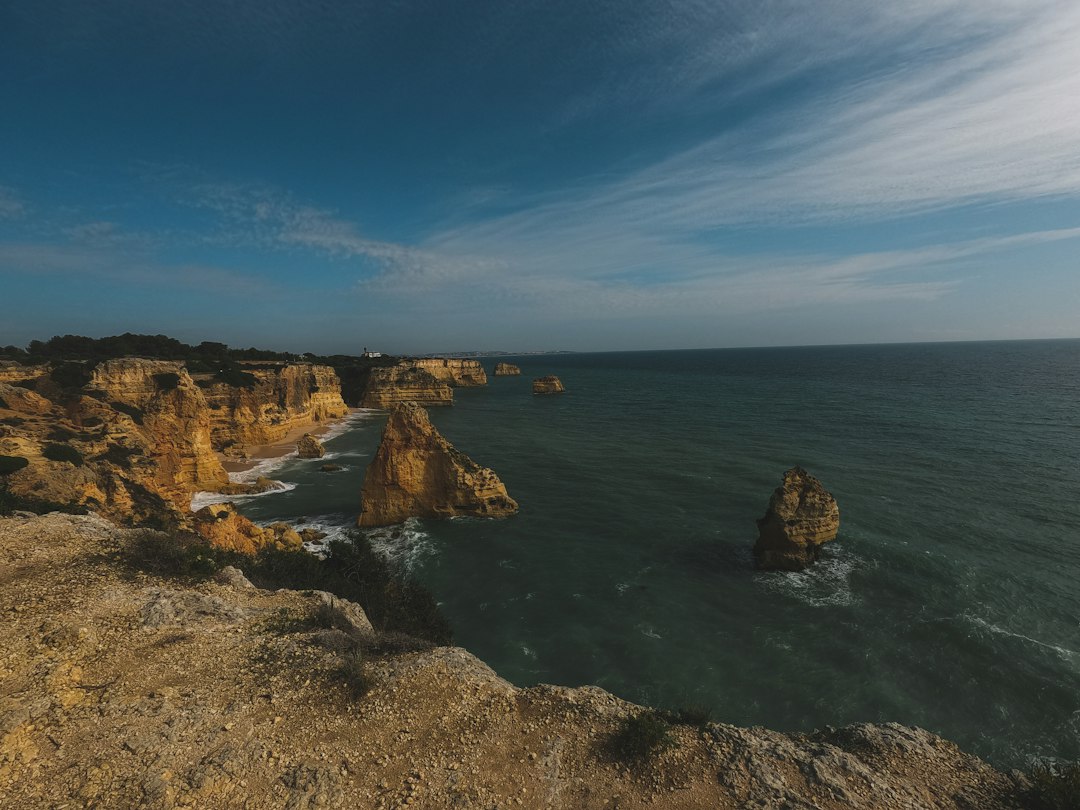 Viajar a Portugal con tu perro: la guía que te faltaba para cruzar Europa sin estrés