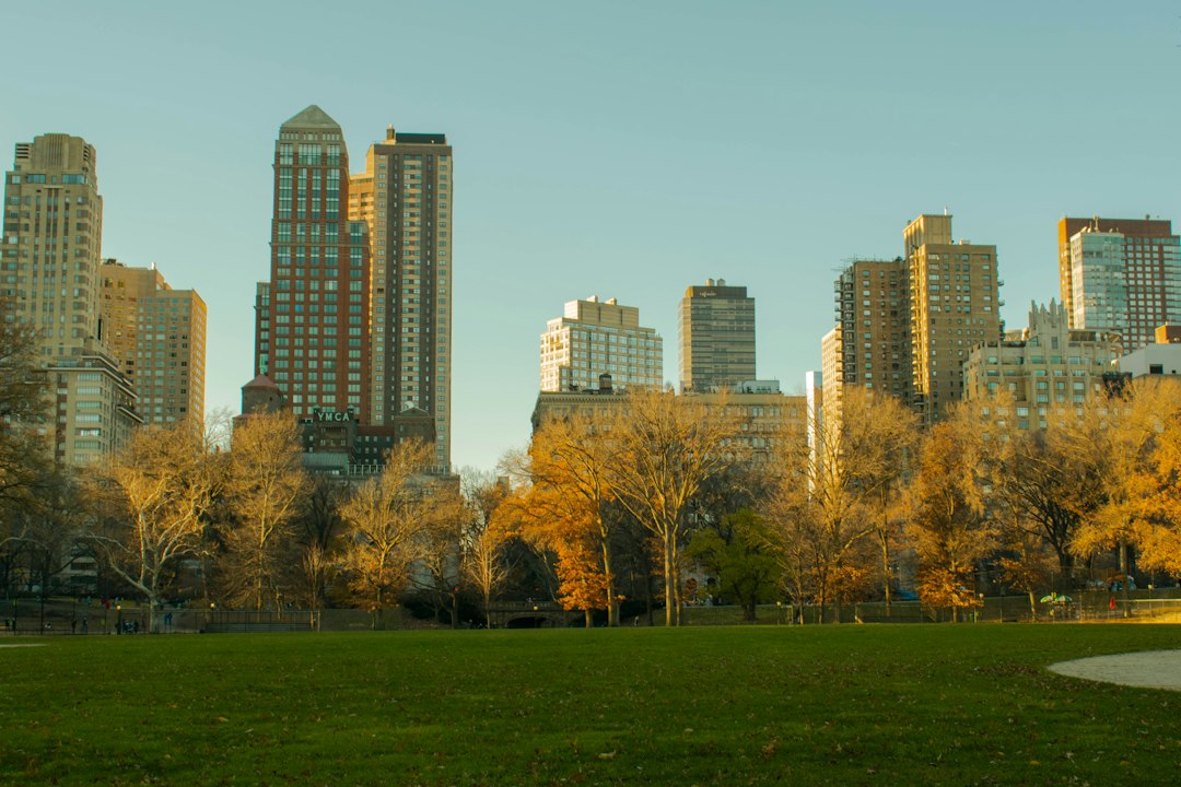 Nueva York con tu perro: los mejores hoteles pet friendly para disfrutar la Gran Manzana juntos