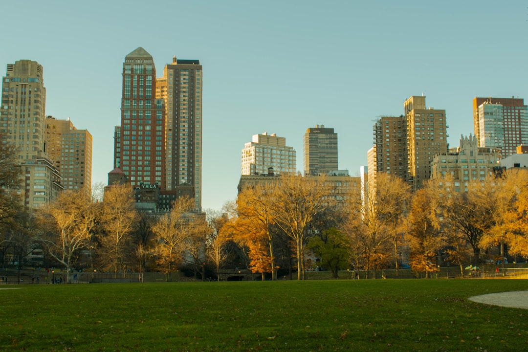 Nueva York con tu perro: la guía completa para viajar sin dejar a tu compañero peludo en casa