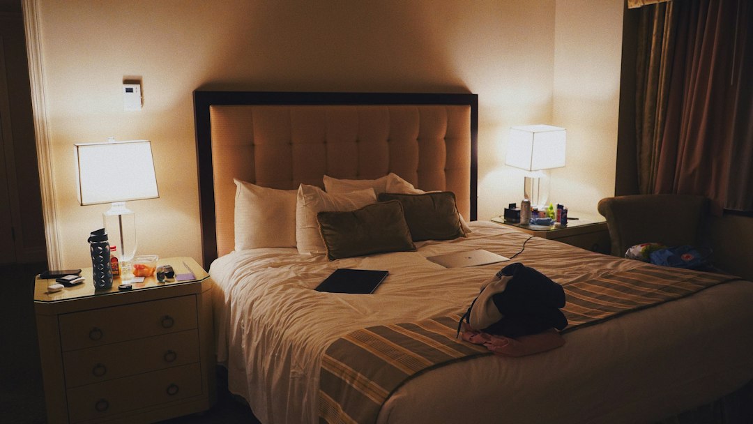 Nueva York con tu perro: los mejores hoteles pet friendly para disfrutar la Gran Manzana juntos