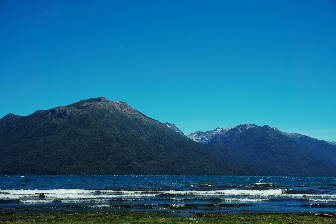 Viajar con tu gato a Bariloche: la guía completa para que disfrute de la Patagonia sin estrés
