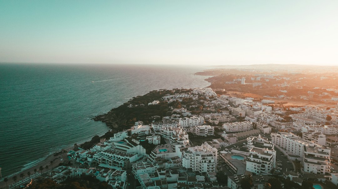 Viajar a Portugal con tu perro: la guía que te faltaba para cruzar Europa sin estrés
