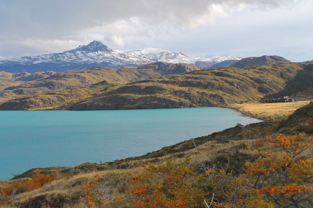 Centolla al natural en Puerto Madryn: el marisco que te va a cambiar la idea del lujo gastronómico