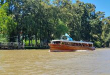 El Delta del Tigre te espera: así es la aventura fluvial que todos los porteños deberían vivir