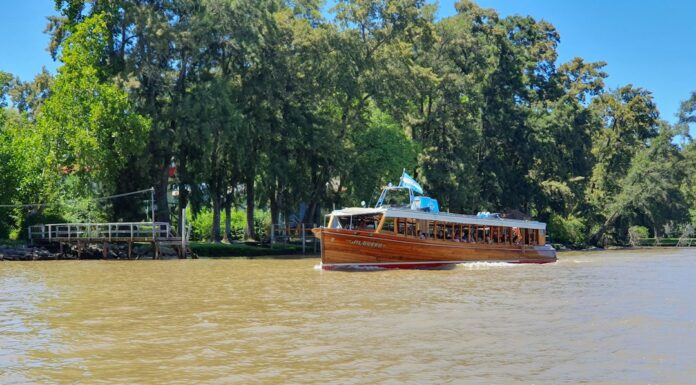 El Delta del Tigre te espera: así es la aventura fluvial que todos los porteños deberían vivir