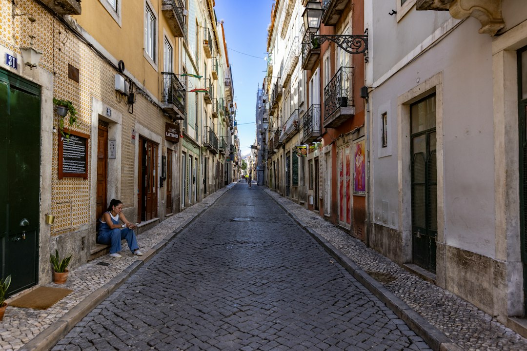Viajar a Portugal con tu perro: la guía que te faltaba para cruzar Europa sin estrés