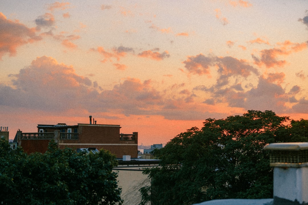 Brooklyn es la capital nocturna que los porteños ignoran: bares y clubes que latén más fuerte que Manhattan