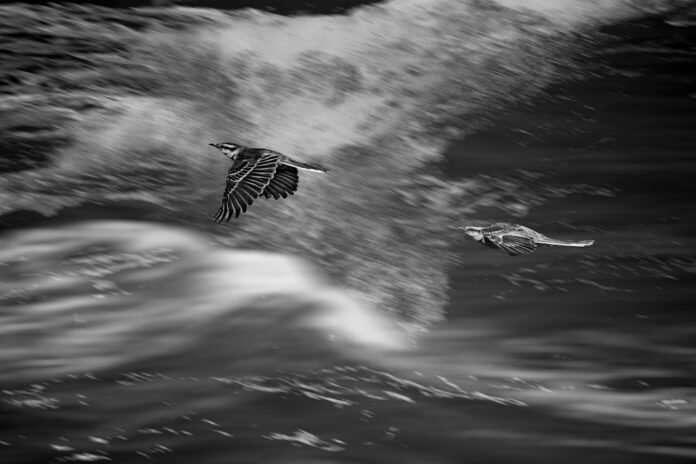 photo-1701529886189-c36f82c0f5c9