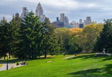 Nueva York con tu perro: los mejores hoteles pet friendly para disfrutar la Gran Manzana juntos