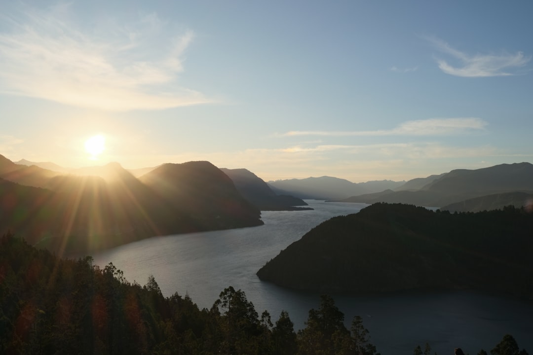 Viajar con tu gato a Bariloche: la guía completa para que disfrute de la Patagonia sin estrés