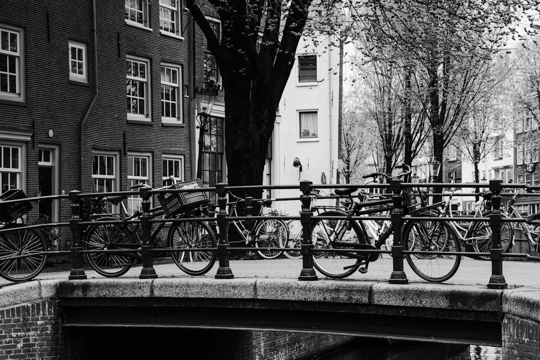 Ámsterdam en bicicleta: la guía que necesitás para moverte como un local holandés