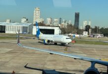 Viajar con tu perro en avión: la guía completa para no dejar a tu mejor amigo
