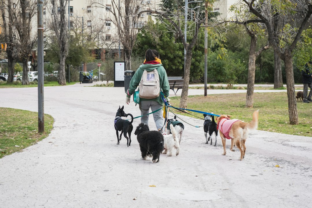 Parque Las Heras: el paraíso porteño donde tu perro es la estrella