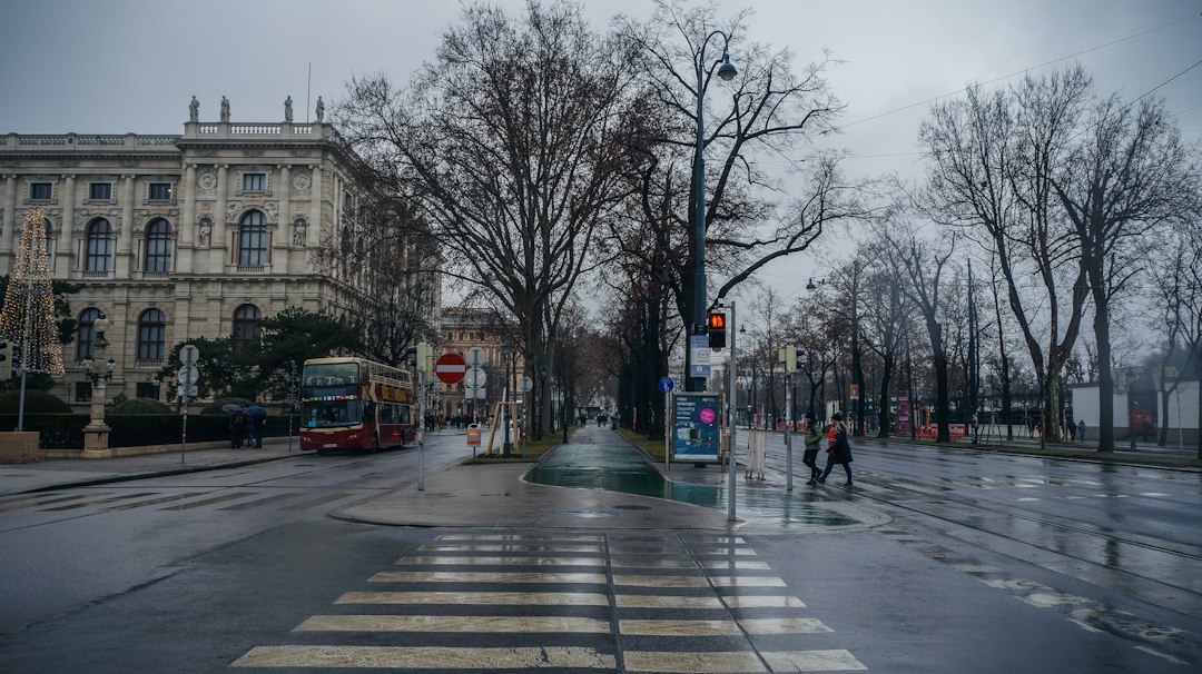 Viena con tu perro: la capital europea donde viajar con tu amigo de 4 patas es más fácil de lo que pensás