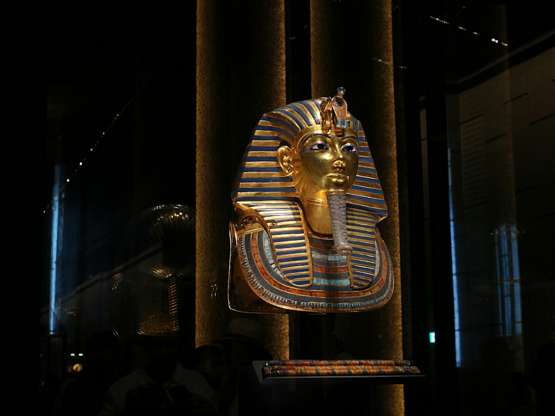 El Met de Nueva York: por qué este museo es una obsesión para los viajeros argentinos