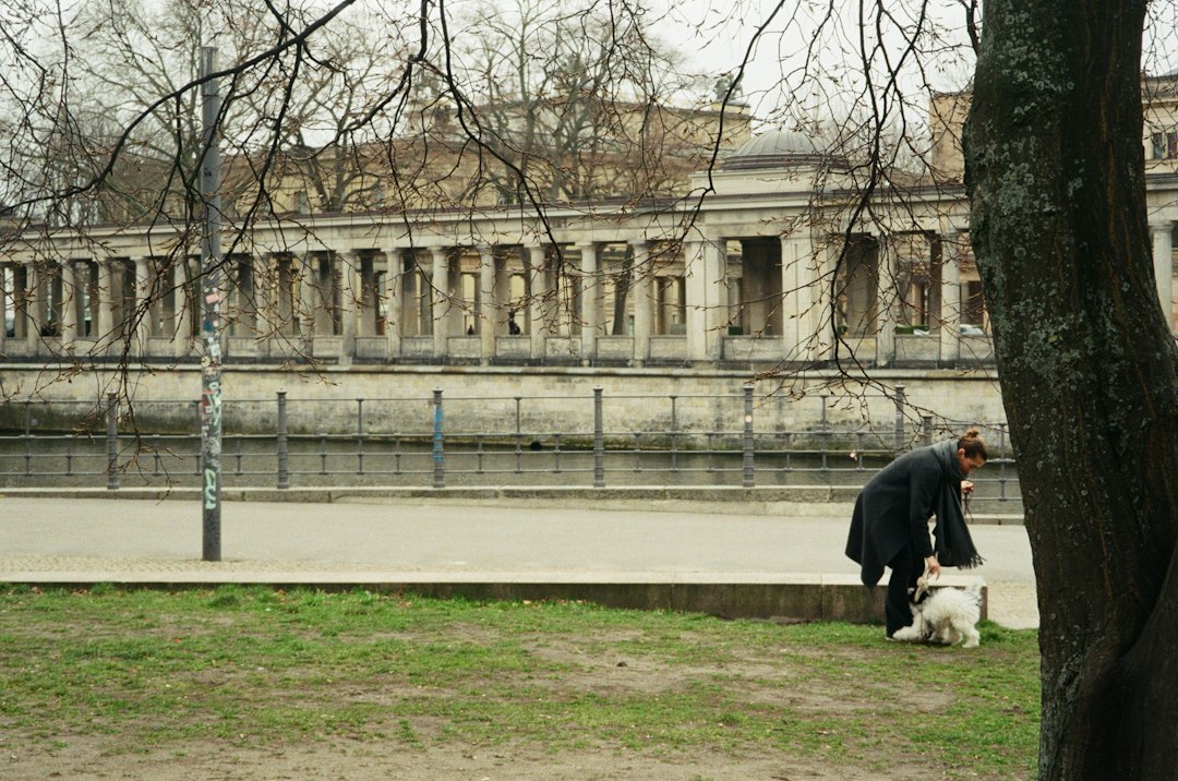 Viajar a París con tu perro: los mejores hoteles donde tu compañero peludo es bienvenido