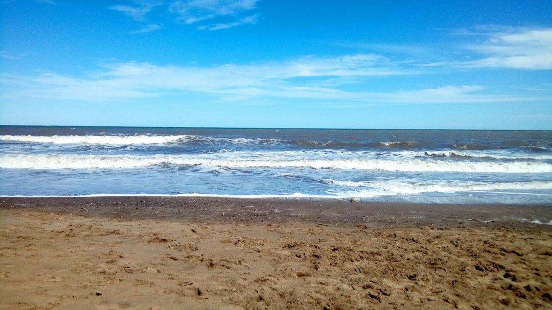 Mar del Plata con tu perro: las playas donde finalmente podés disfrutar juntos del mar