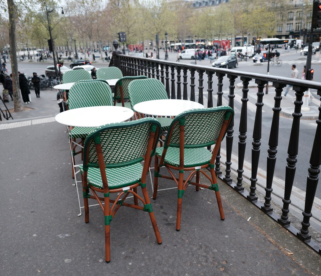 Viajás a París con tu perro: estos hoteles te van a recibir como se debe