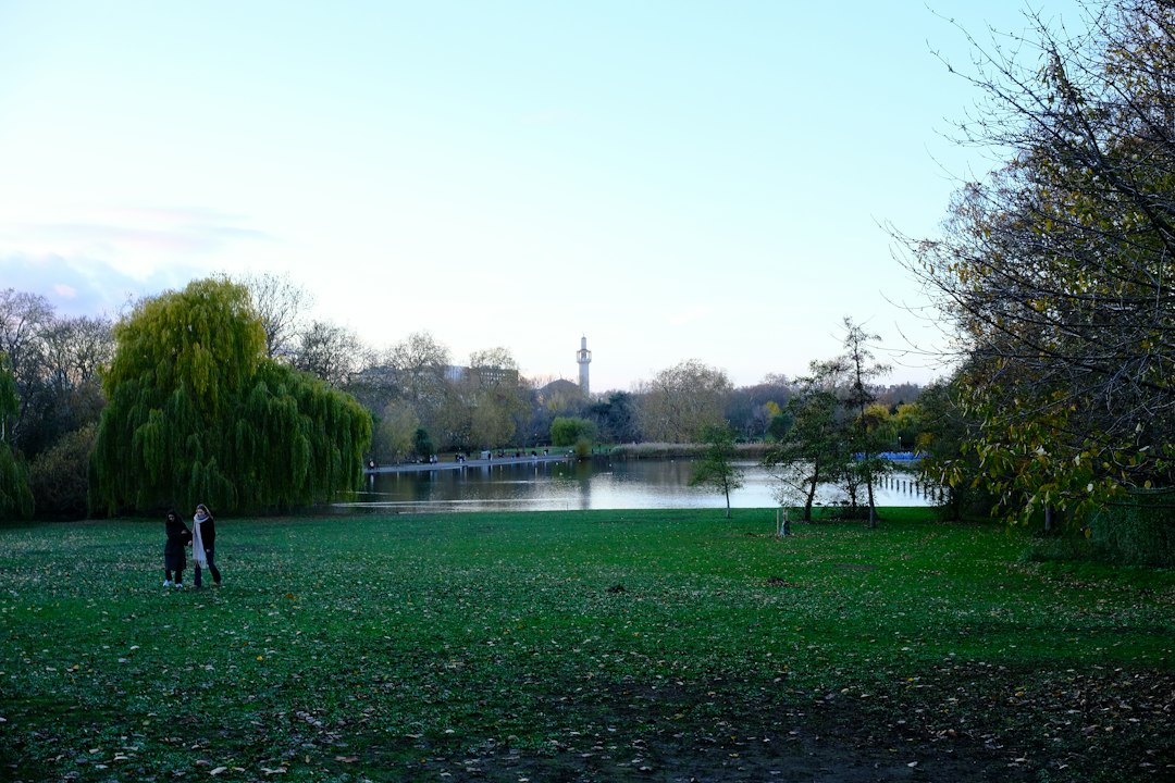 Llevá a tu perro a Londres: los mejores hoteles donde tu compañero peludo es bienvenido