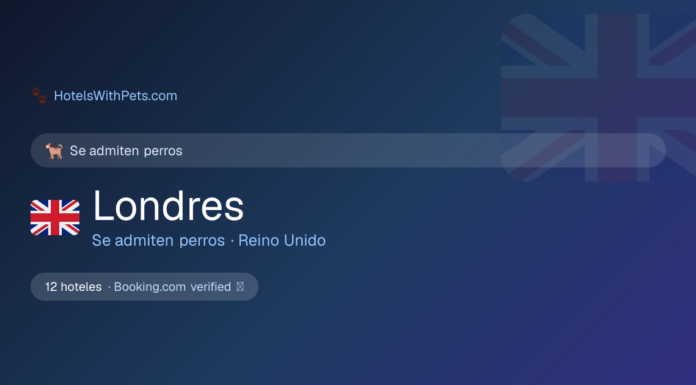 Llevá a tu perro a Londres sin culpa: estos 4 hoteles te lo permiten (y sin cargos extras)