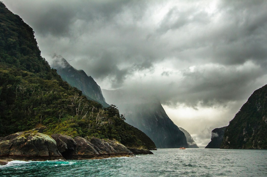 Remar en Milford Sound: la aventura en kayak que te va a cambiar la vida en Nueva Zelanda
