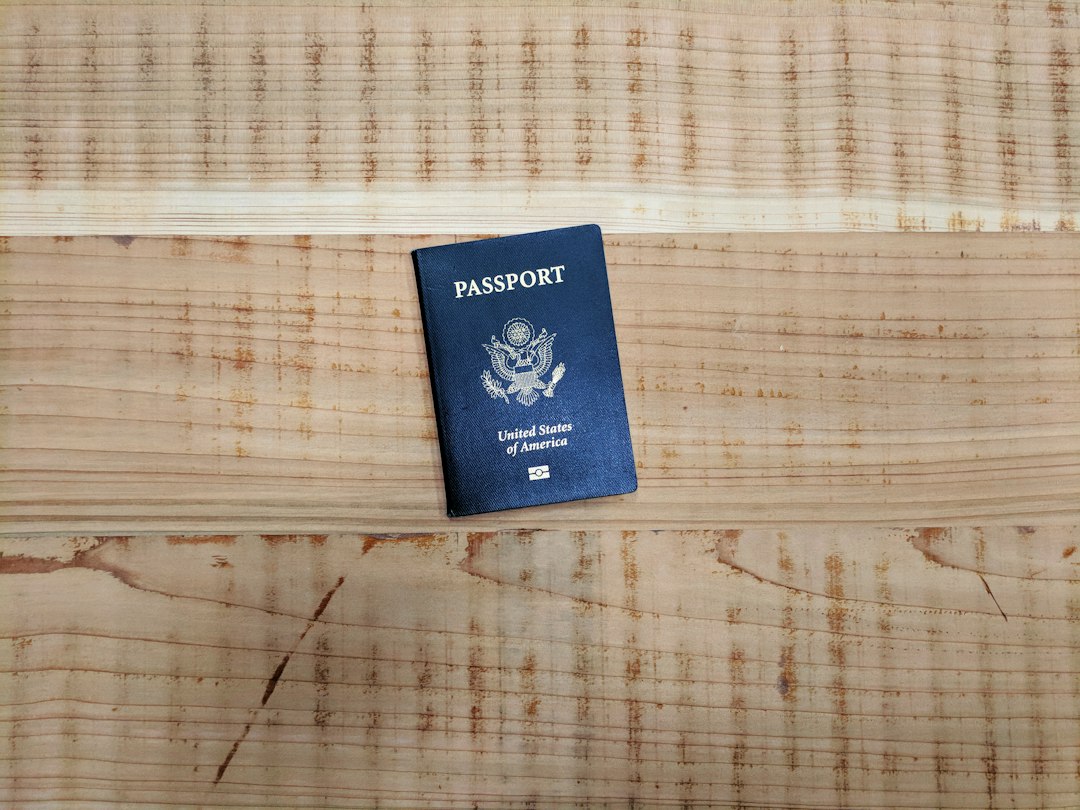 Tu gato puede viajar contigo: la guía completa de documentos y requisitos para 2026