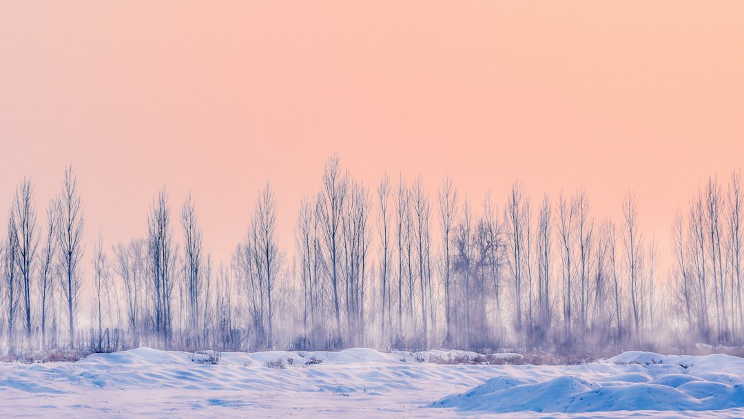 París en invierno: la magia que los turistas de verano nunca descubren