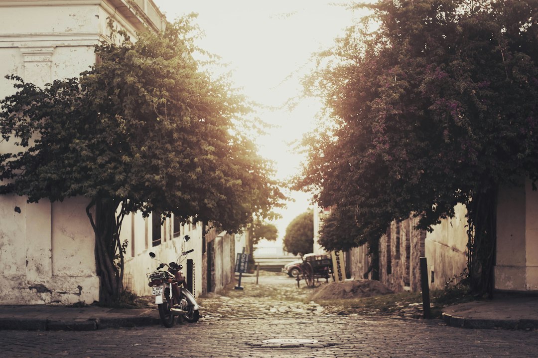 Colonia del Sacramento: la ciudad europea que está a 45 minutos de Buenos Aires y vos todavía no conocés