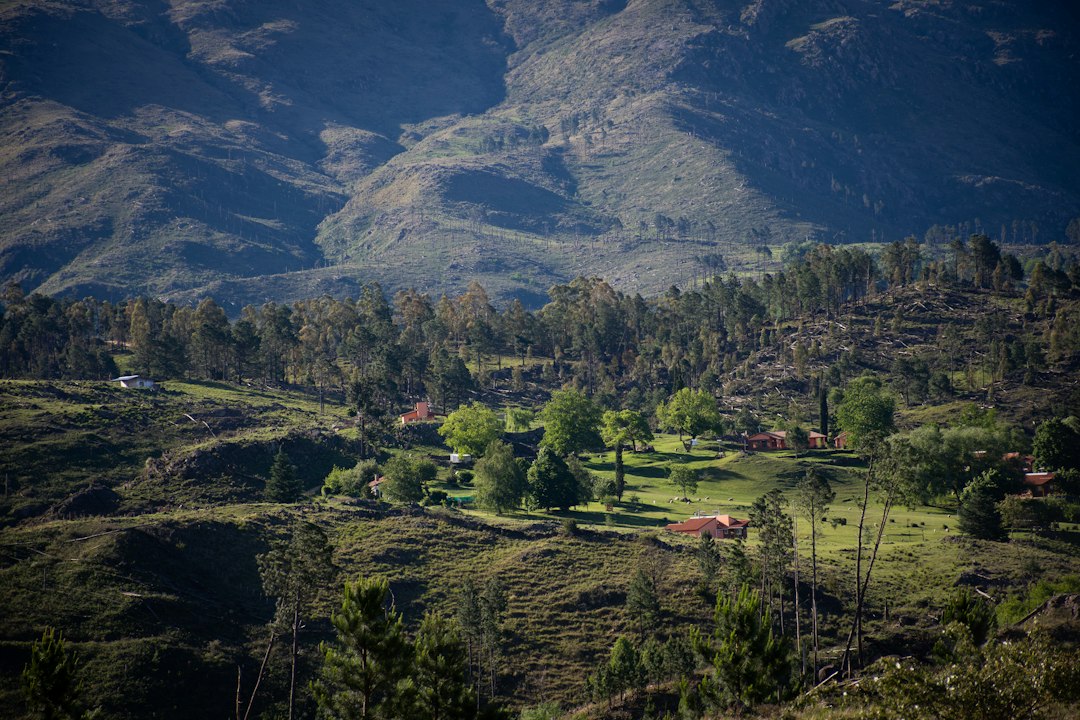 En Misiones descubrí por qué el mate es mucho más que una bebida: es un ritual que define a los argentinos